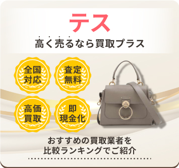 Chloe tess スモールバッグ くから 【限定値下げ中】