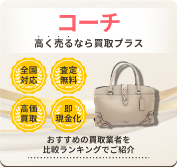 COACH 更に頑張ってお値下げ 早いもの勝ち 強かっ
