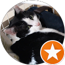 Shoko Sugito profile picture