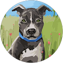 加賀野心二郎 profile picture