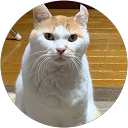 茶太郎さん profile picture