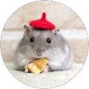 加藤里子 profile picture