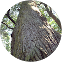 Aki Naka profile picture