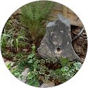 修田中 profile picture