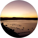 Alexander profile picture