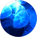 wa mi profile picture