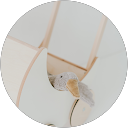 M. M profile picture