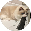 MISUZU AOYAMA profile picture