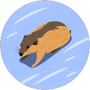 パモのすけ profile picture