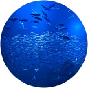 あっかん profile picture