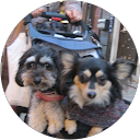 YUZU RENA profile picture