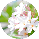 あゆあゆT profile picture