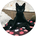 Kurone profile picture