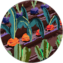 ただけんたろう profile picture