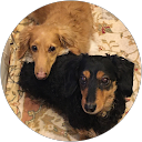 coco profile picture