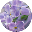 きあ profile picture