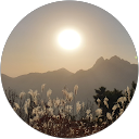 Seriseri Zuki profile picture