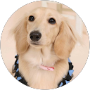 花奈子（HANA） profile picture