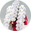 甘利陽一郎 profile picture