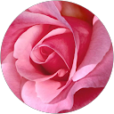 RED 1128 profile picture