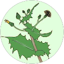 はらぺこねむむし profile picture