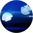 zero 000 profile picture