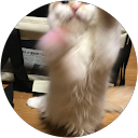 くー profile picture