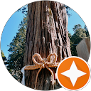 吉田宮吉 profile picture