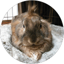 まこまこ profile picture