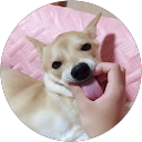 たーまっねぎ profile picture