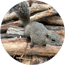 Su Be profile picture