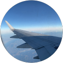 たね profile picture