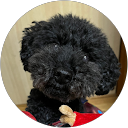 みるちゃん profile picture