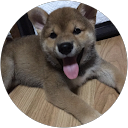 パセり profile picture