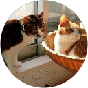 cocoro profile picture