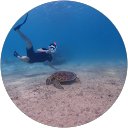 KE NI profile picture