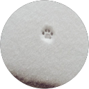 にゃんちゅ profile picture