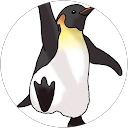 俊介木村 profile picture