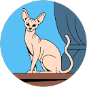 Sayoko Ambe profile picture