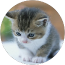 youri f profile picture