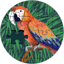 マリアマリア profile picture