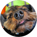 えか profile picture