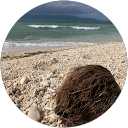 渚レイ profile picture