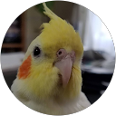 紘生瀧澤 profile picture