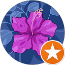 Sachiko profile picture