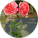 ふぅ profile picture