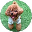 ゆみ profile picture