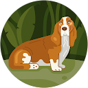 kumi yoshi profile picture