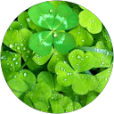 みやあゆ(あゆmama) profile picture