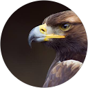 かやてつ profile picture